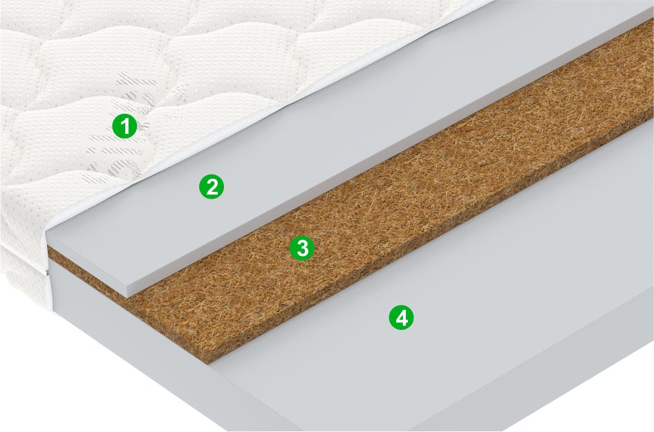 Juno Jolly Juno Jolly