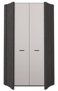 Шкаф SZFN2D