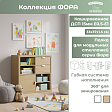Полка (4.1)