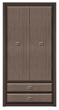Шкаф REG2D2S
